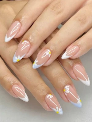 Bold Daisies