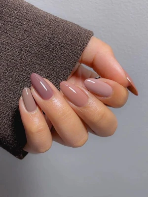 Mauve Gradient