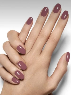 Mauve Taupe
