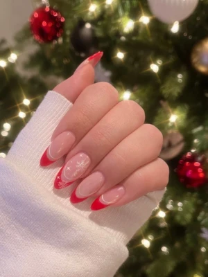Snowy Red Tips