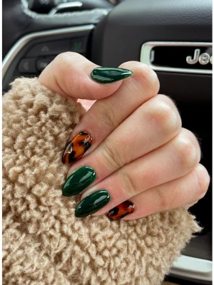 Tortoise Shell