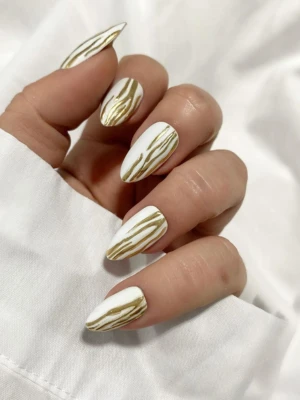 Zebra Frenchies