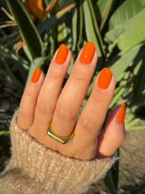 Burnt Orange Nail