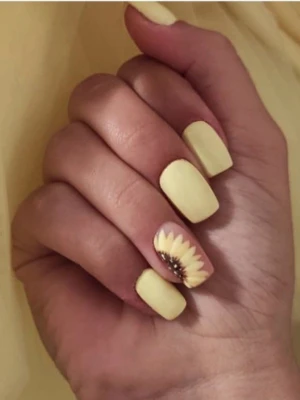 Minimalist Sunflower Lines