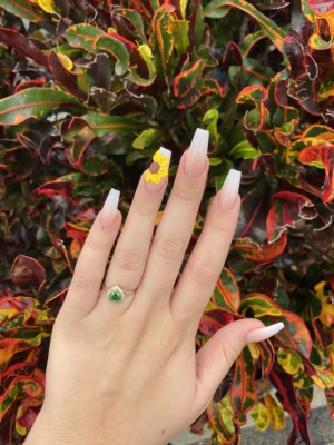 Ombre Nails