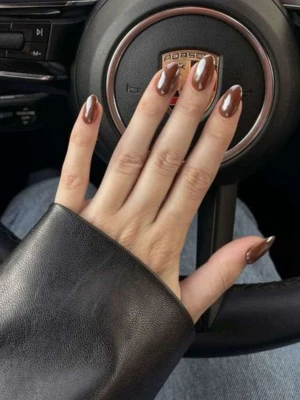 Brown Chrome Nail