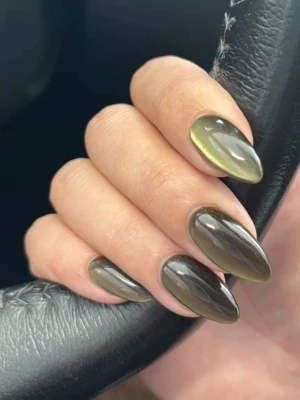 Cat-Eye Nails Nail