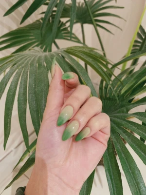 Olive Shine Ombre Nail